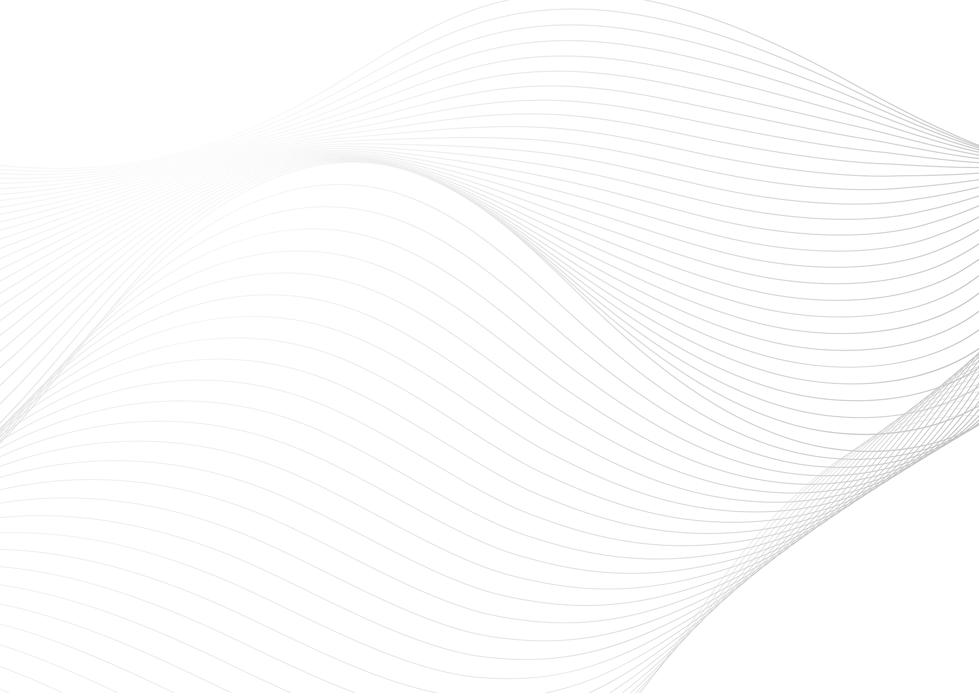 Web Site Tasarımcısı, Dumlupınar